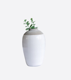 花盆