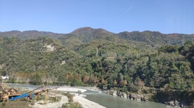 青山绿水