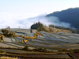 云南元阳哈尼梯田景区