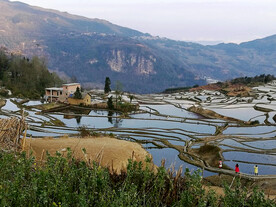 元阳哈尼梯田风光