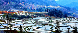元阳哈尼梯田风光