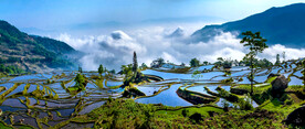 元阳哈尼梯田风光