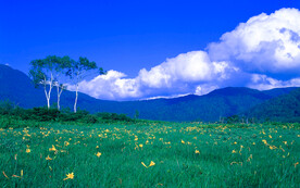 自然风景