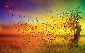 唯美风景