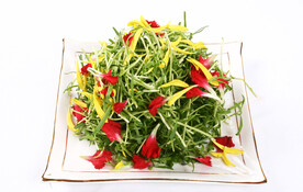 草尖吻鲜花