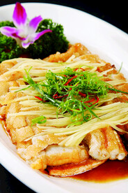 姜丝豆腐蒸鲨鱼