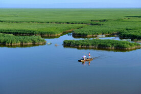 沧州南大港湿地景区