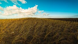 自然风景