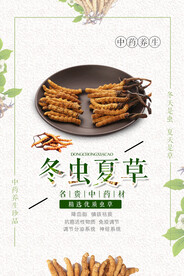 冬虫夏草