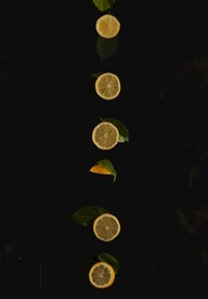 柠檬