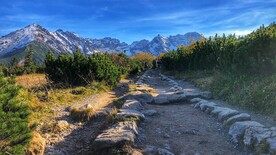 自然风景