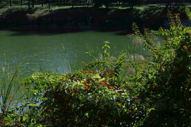 龙潭中湖风景 