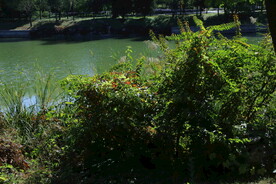龙潭中湖风景
