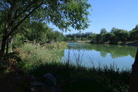 龙潭中湖风景 