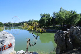 龙潭中湖风景