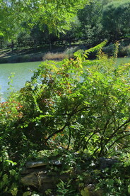 龙潭中湖风景  