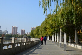 莲花池风景 