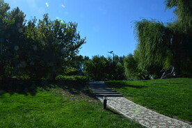  公园风景  