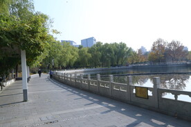 莲花池风景  