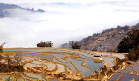 元阳哈尼梯田风光