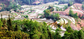 元阳哈尼梯田风光