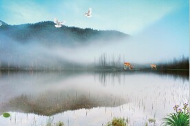 背景墙