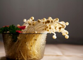 金针菇