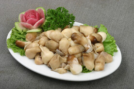 草菇