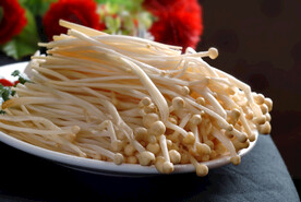 菌金针菇