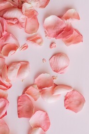 花瓣素材