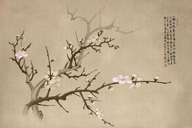 背景墙