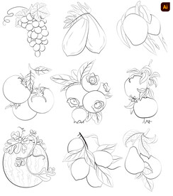 手绘线描水果