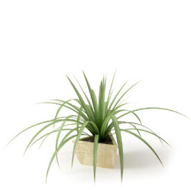 C4D模型  绿色植物 