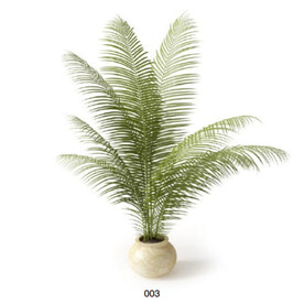 C4D模型  绿色植物 