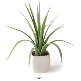 C4D模型  绿色植物 