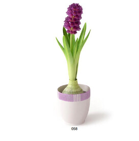 C4D模型 绿色植物 