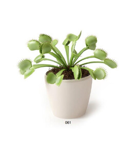 C4D模型 绿色植物 