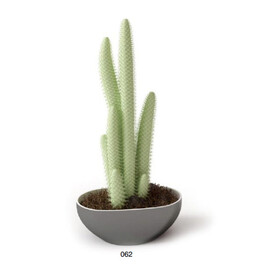 C4D模型 绿色植物 