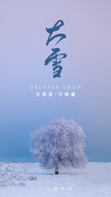 大雪海报