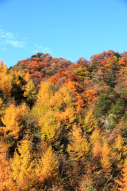 巴中光雾山秋天