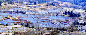 元阳哈尼梯田风光