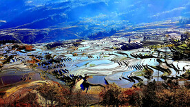 元阳哈尼梯田风光