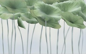 荷花背景墙