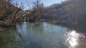 波光粼粼