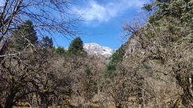 雪山