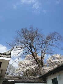 长汀风景
