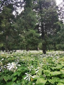 北京天坛公园