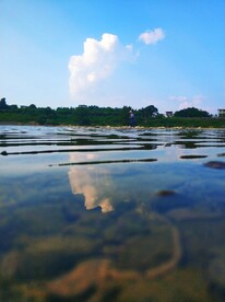 上杭汀江水