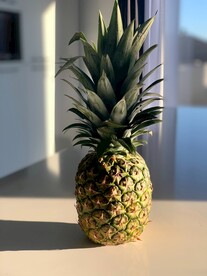 菠萝