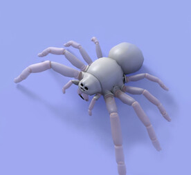 C4D模型 蜘蛛